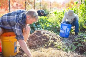 Community Engagement and Support People gardening