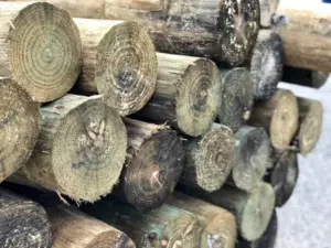 Green or Treated Wood for posts