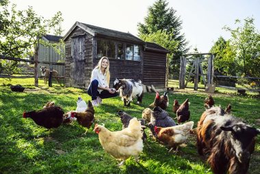 Homesteading woman feeding chickens