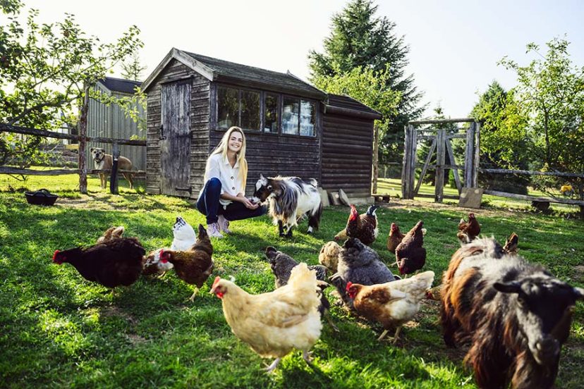 Homesteading woman feeding chickens