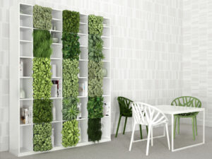 Maximizing Vertical Space Indoor Plant Shelves