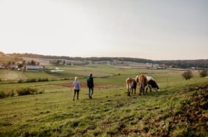 Selecting the Right Property Man and Woman with horses in a field