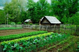 Self-Sufficiency and Sustainability Garden and Shed