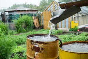 Water Conservation and Management Rain Barrels in garden