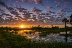 Climate and Environment in Florida Wetlands in Florida