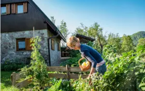 Growing Your Own Food Woman harvesting vegetables in garden