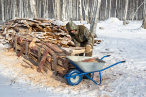 Homesteading Challenges Man loading firewood into a wheel barrel in the snow
