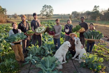 Homesteading in Florida