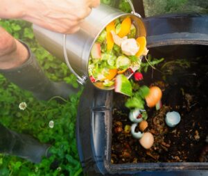 Implementing Eco-Friendly Practices Dumping scraps into compost