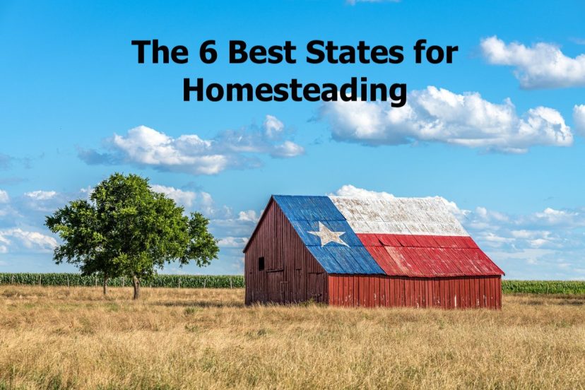 The 6 Best States for Homesteading