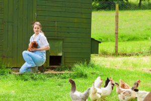 Understanding Modern Homesteading Woman Feeding Chickens on homestead