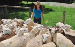 What is Homesteading? Woman with Sheep