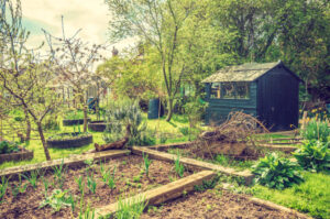 Challenges and How to Overcome Them Shed,In,An,Allotment,With,Soil,Ready,To,Plant.,Horizontal