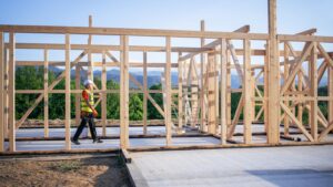 Building Your Homestead farm house being built Man inside unfinished home