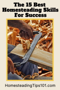 The 15 Best Homesteading Skills for Success
