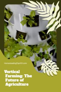 Vertical Farming Information