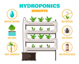 Benefits of Vertical Farming with Hydroponics 