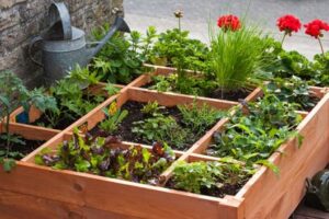 More Efficient Use of Space Square Foot Gardening with herbs and flowers