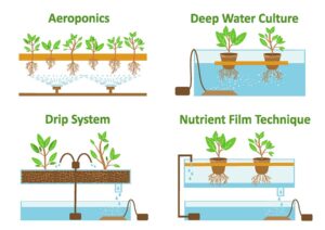 Hydroponic and aeroponic growth systems