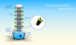 Unlocking the Advantages of Vertical Farming Using Aeroponics Infographic