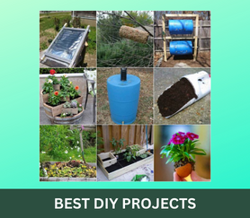 BEST DIY PROJECTS