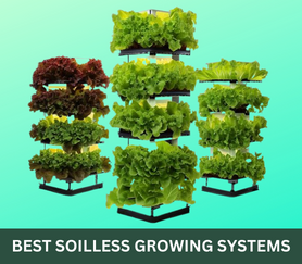 BEST SOILLESS GROWING SYSTEMS