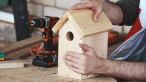 Diy Birdhouses Man Building Birdhouse