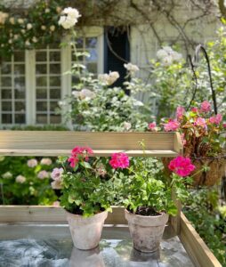 Reasons for Getting a Gardening Bench Comfort and Convenience Flower Pot with Pink Flowers
