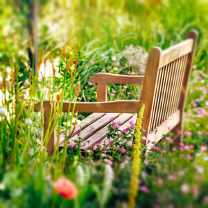 Style and Design Garden Bench Amongst Flowers