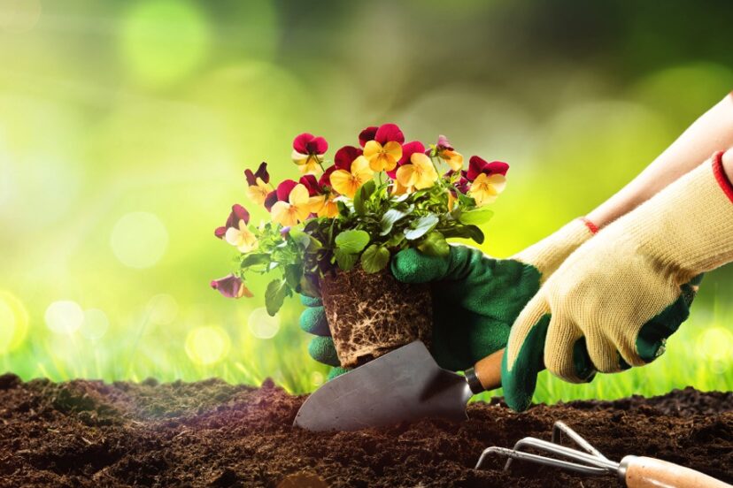 The Best Gardening Gloves Planting a Plant