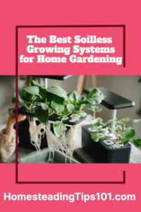 the best soilless growing systems for home gardening